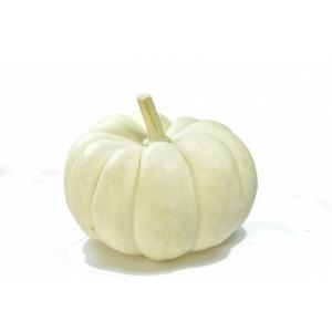 Fresh Produce - Pumpkin White