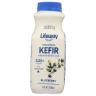 Lifeway - Whole Milk Blueberry Kefir