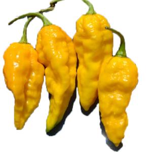 Fresh Produce - Yellow Chili Peppers