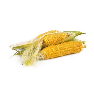 Produce - Fresh Yellow Corn