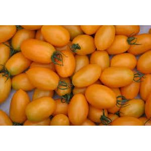 Fresh Produce - Tomato Plum Yellow